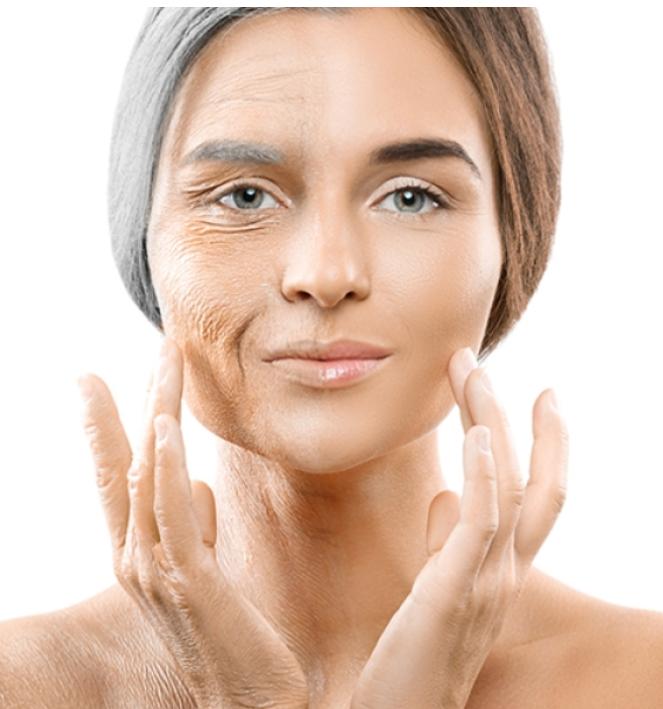 Anti-Aging